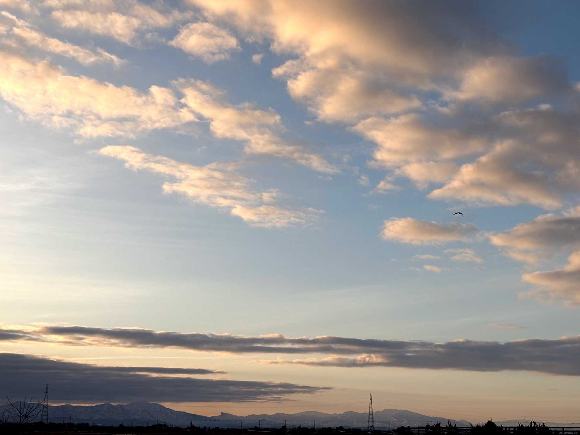 ◾️人から人へ