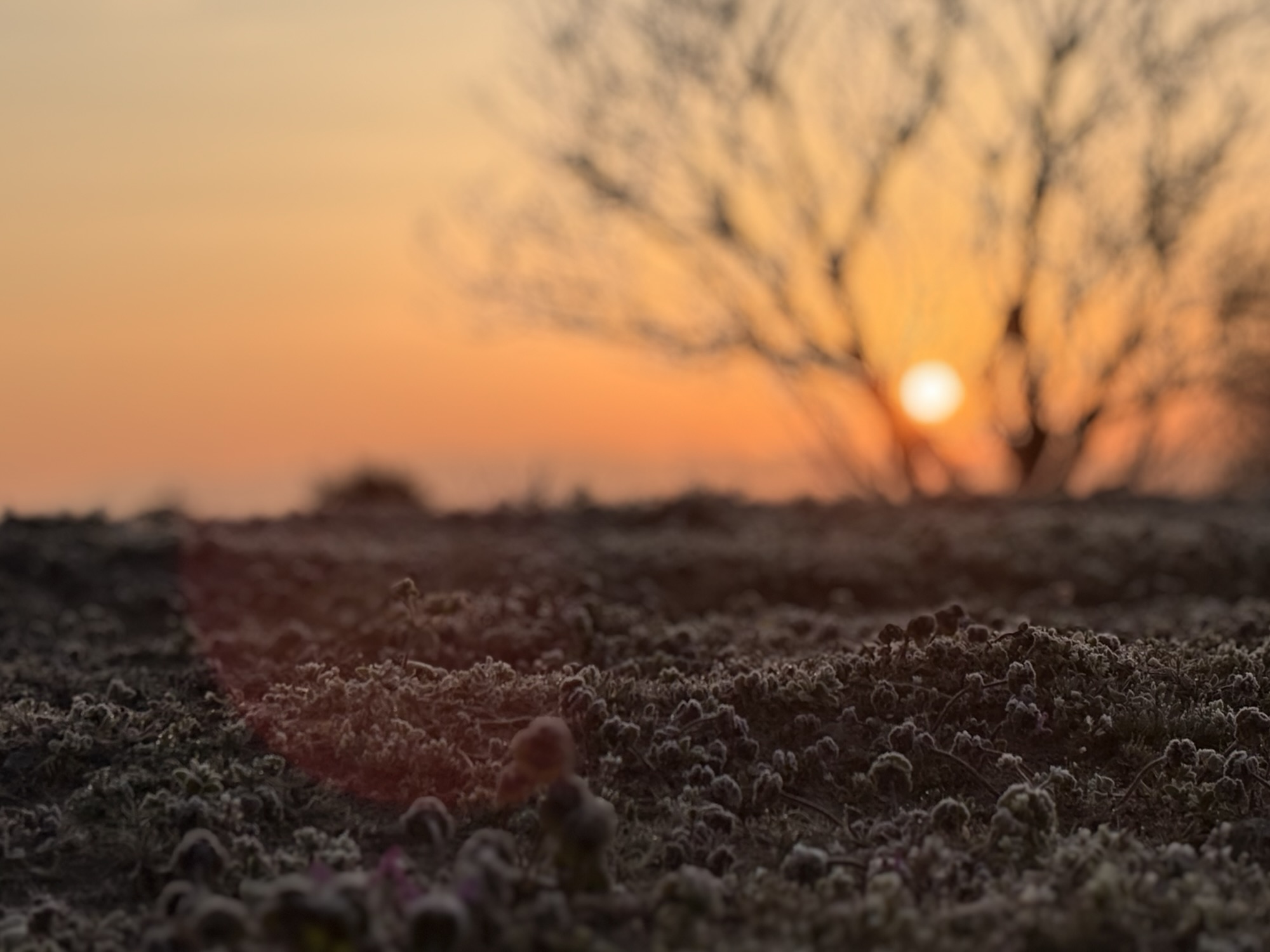 ◾️繋いできた糸
