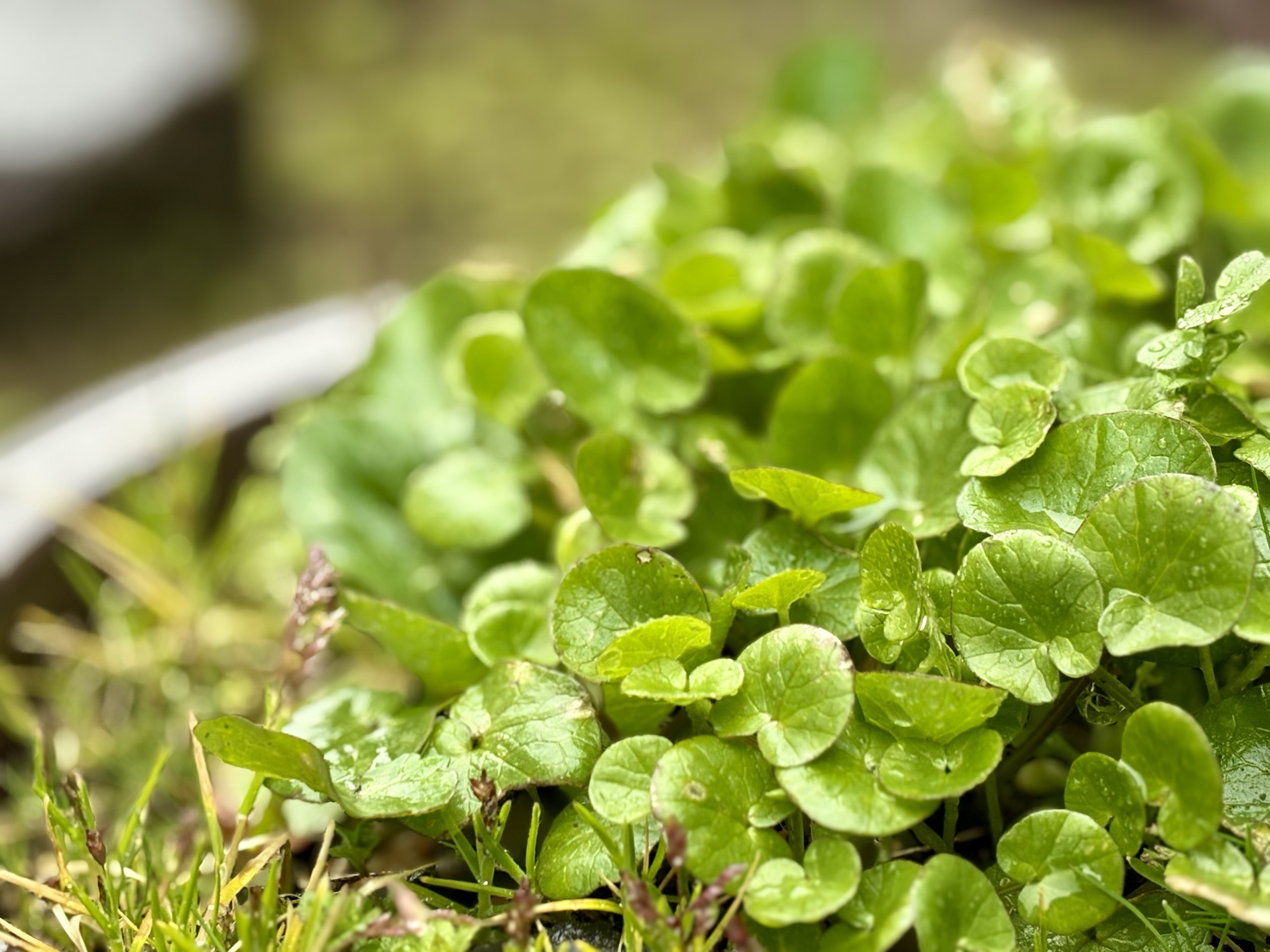 ◾️学びから自信へ