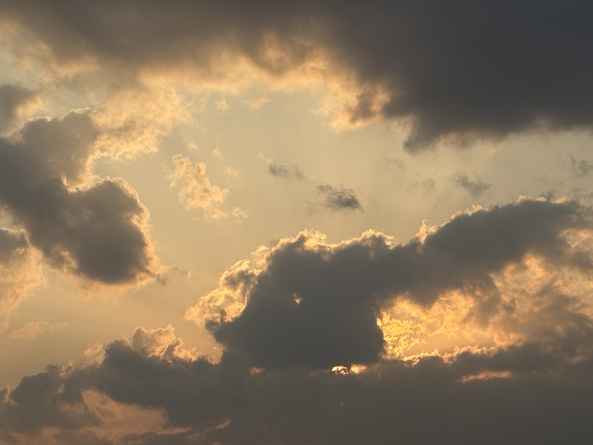 ◾️再び手にして磨き、求める