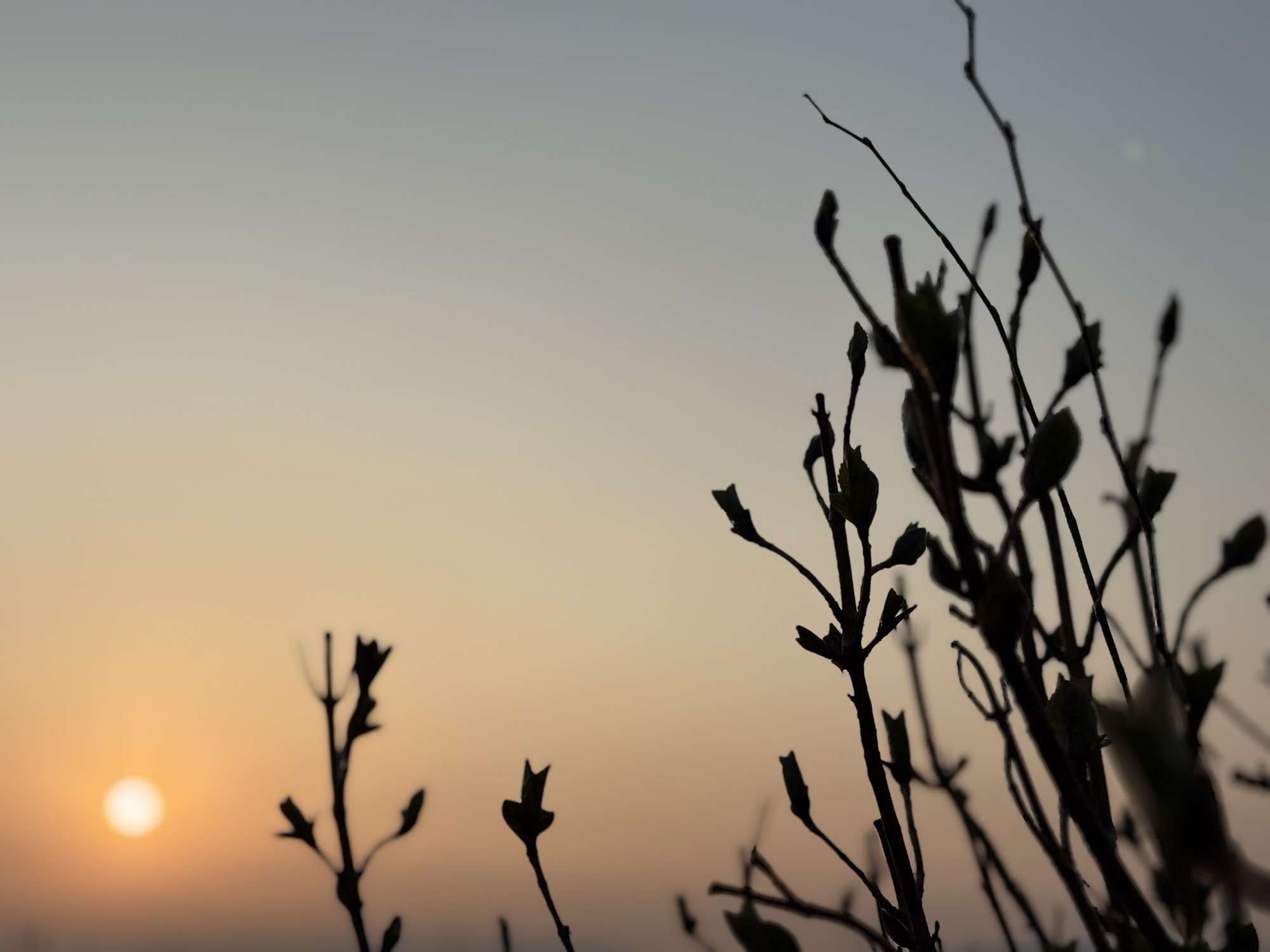◾️幾つになっても直向きに