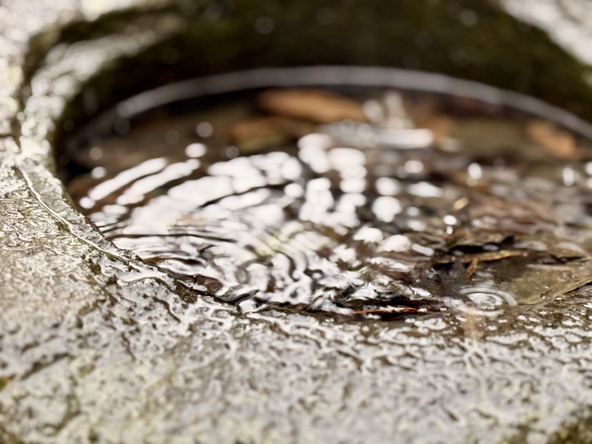 ◾️脳にピタッとハマる“何か”