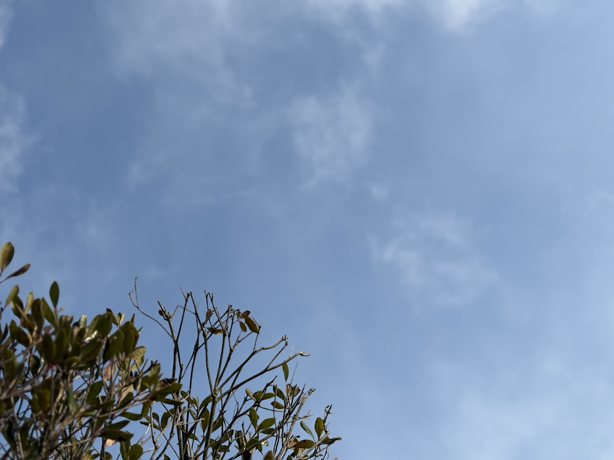 ◾️誰かに想いを寄せて心を繋ぐ空間