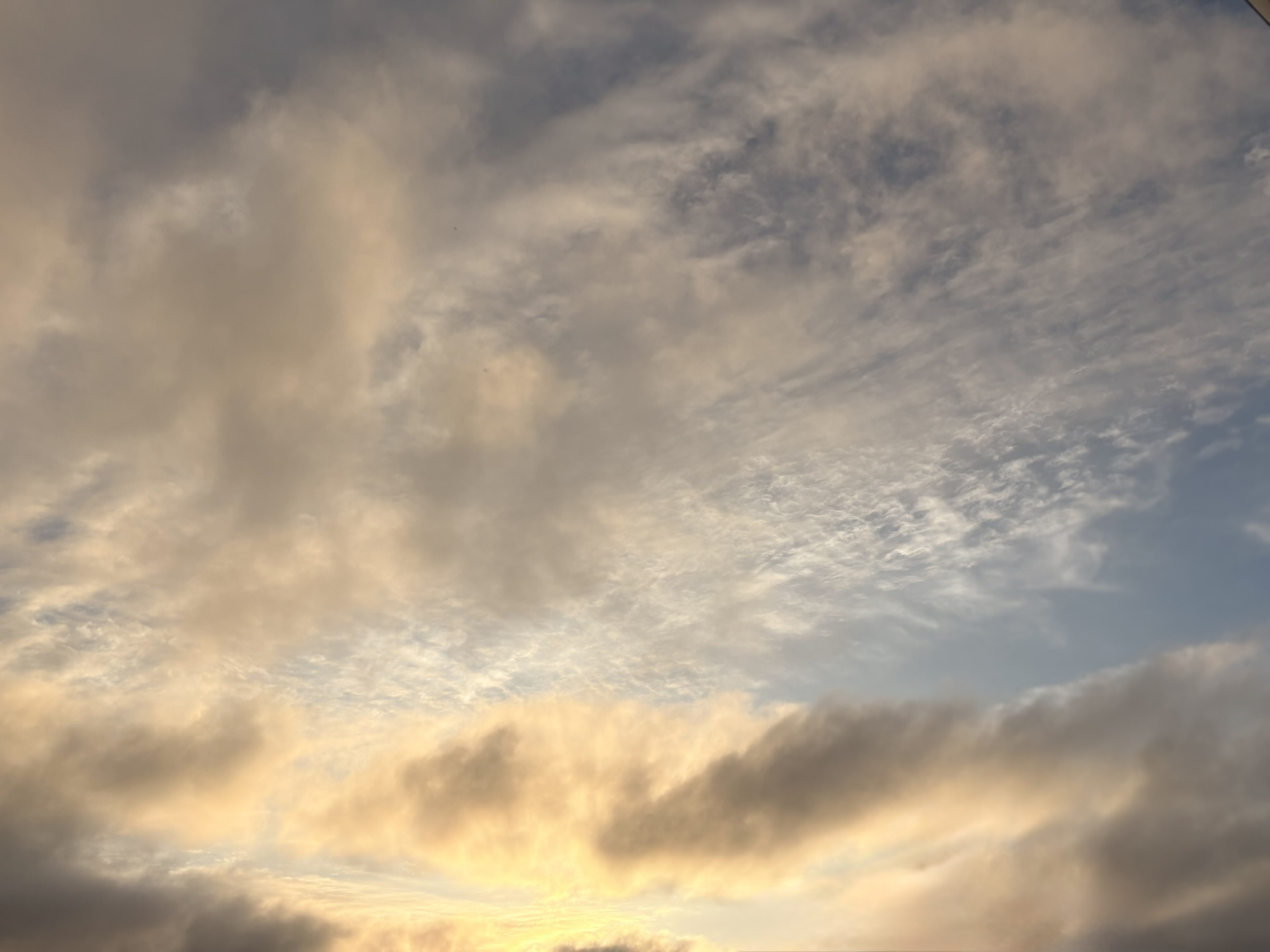 ◾️14年間心においていること