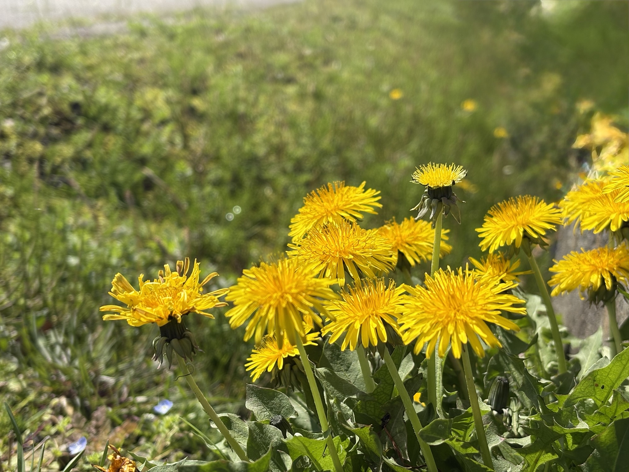 ◾️自分と向き合う姿は素敵