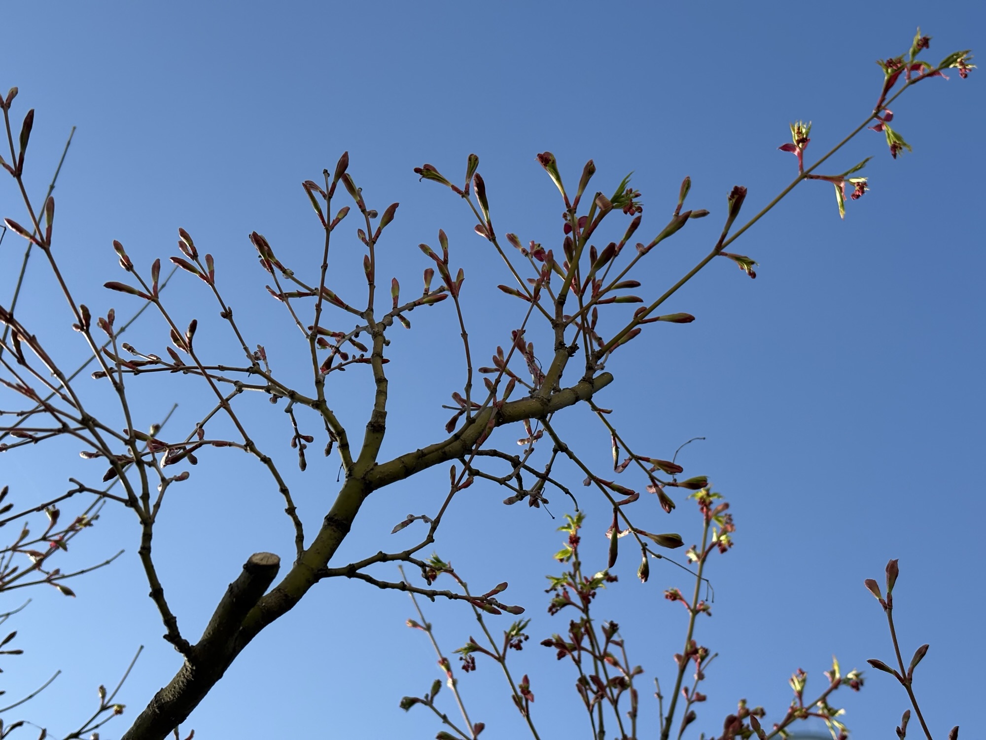 ◾️「なぜ弾けない？」を解消する