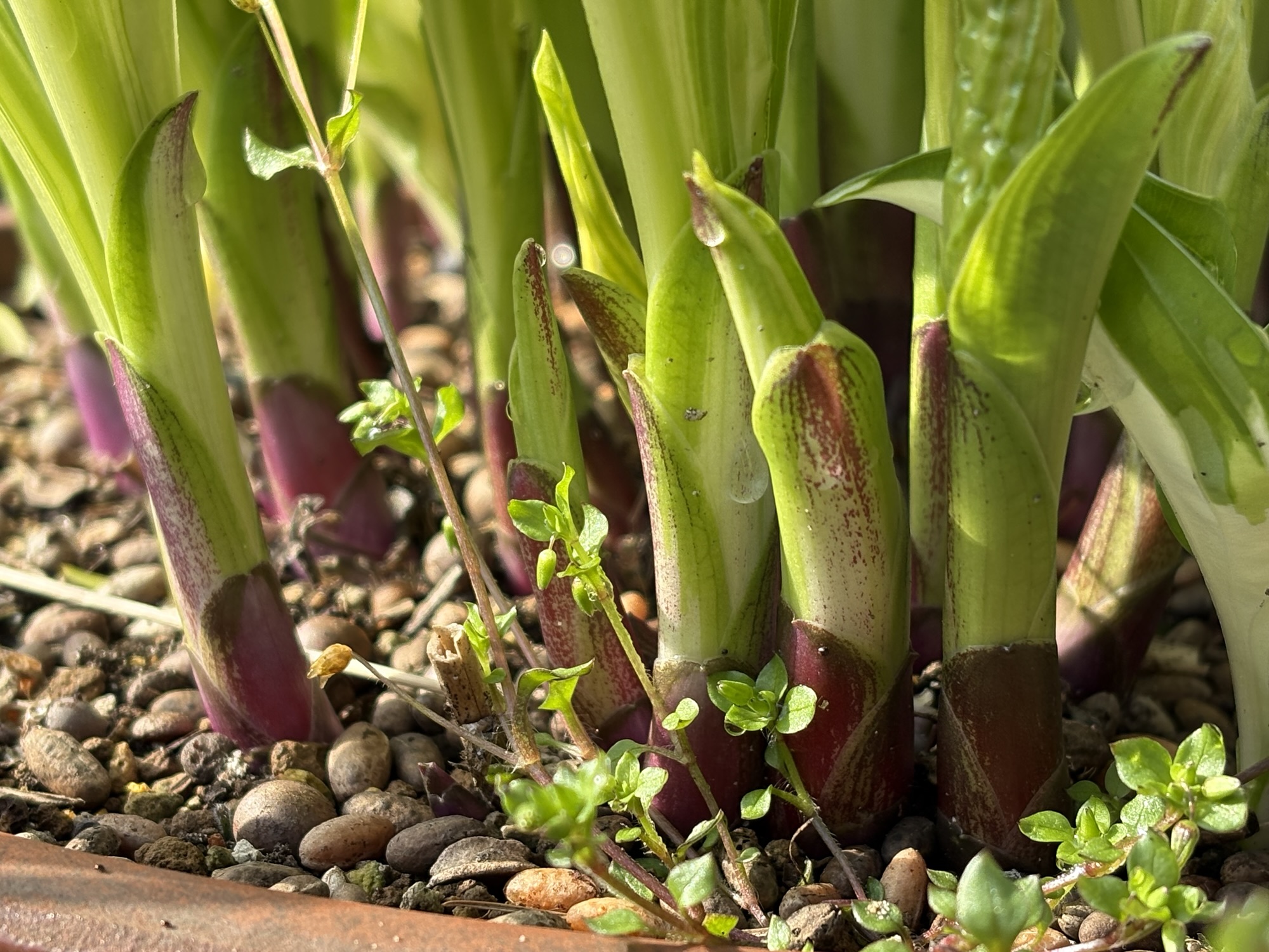 ◾️気持ちを込めると前屈みになる件。