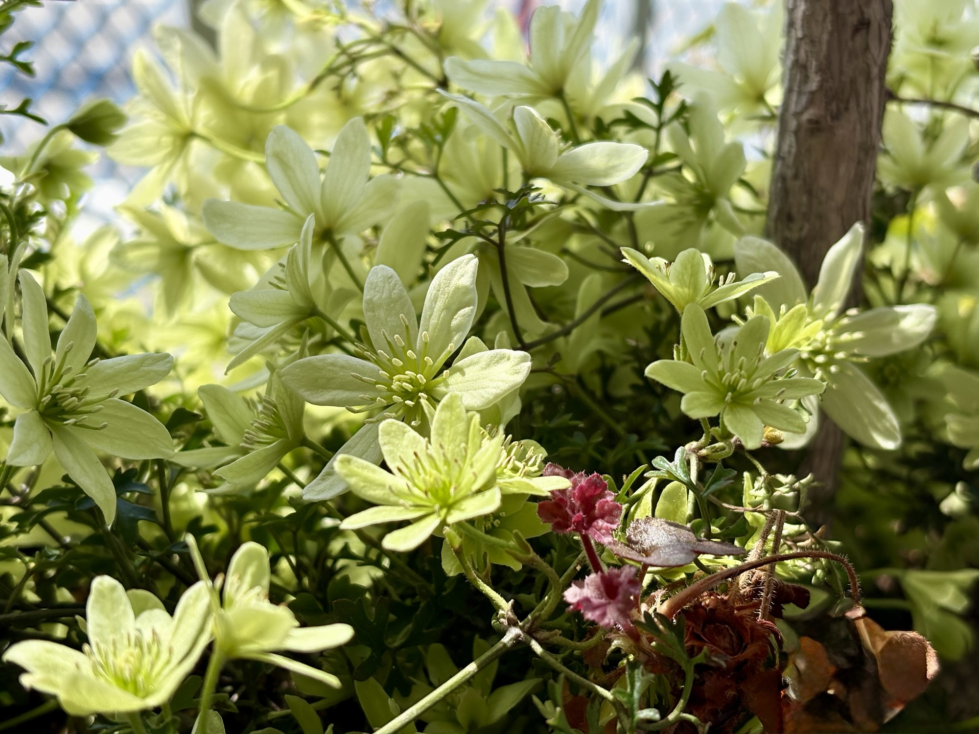 ◾️「聴いてほしい」と思えるまで
